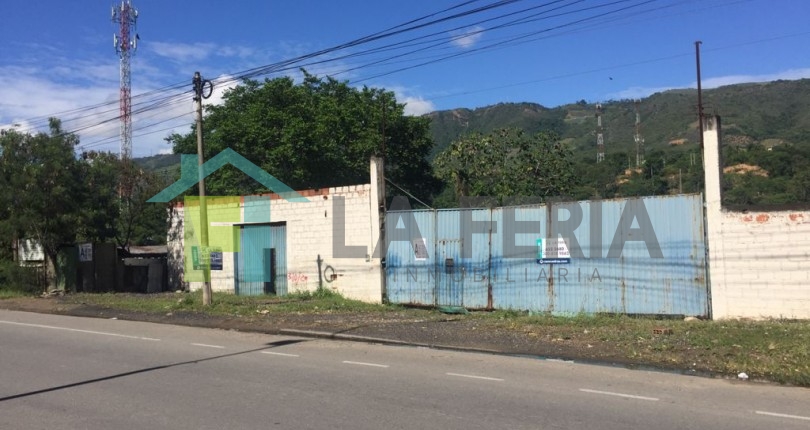 Descripción