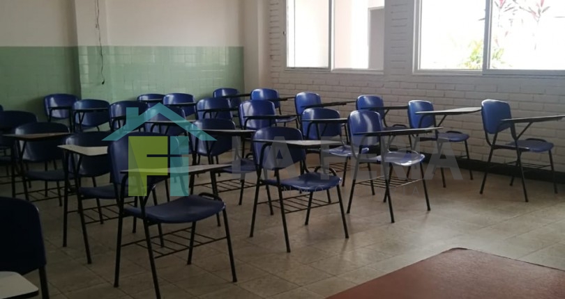 Descripción