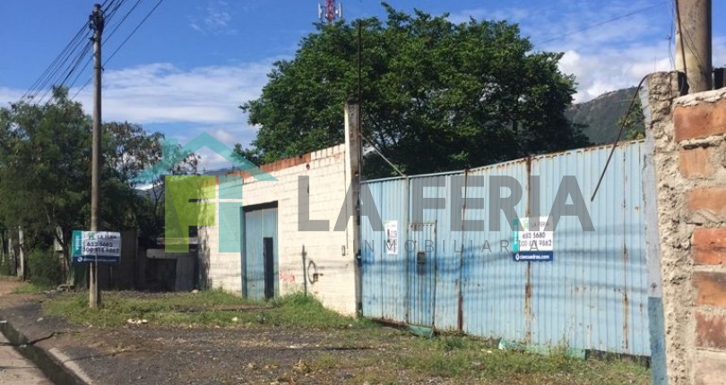 Descripción
