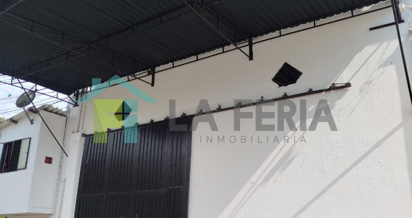 Descripción