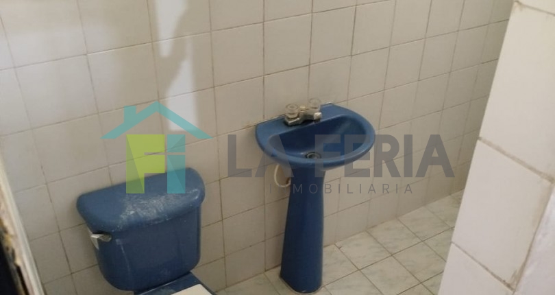 Descripción