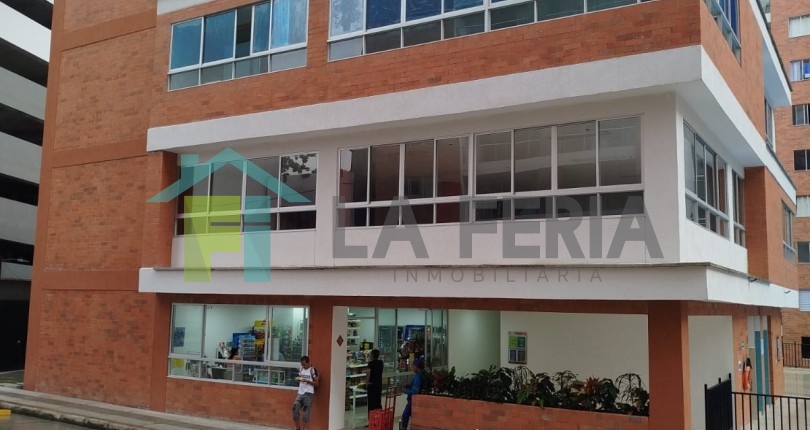 Descripción
