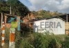 Descripción